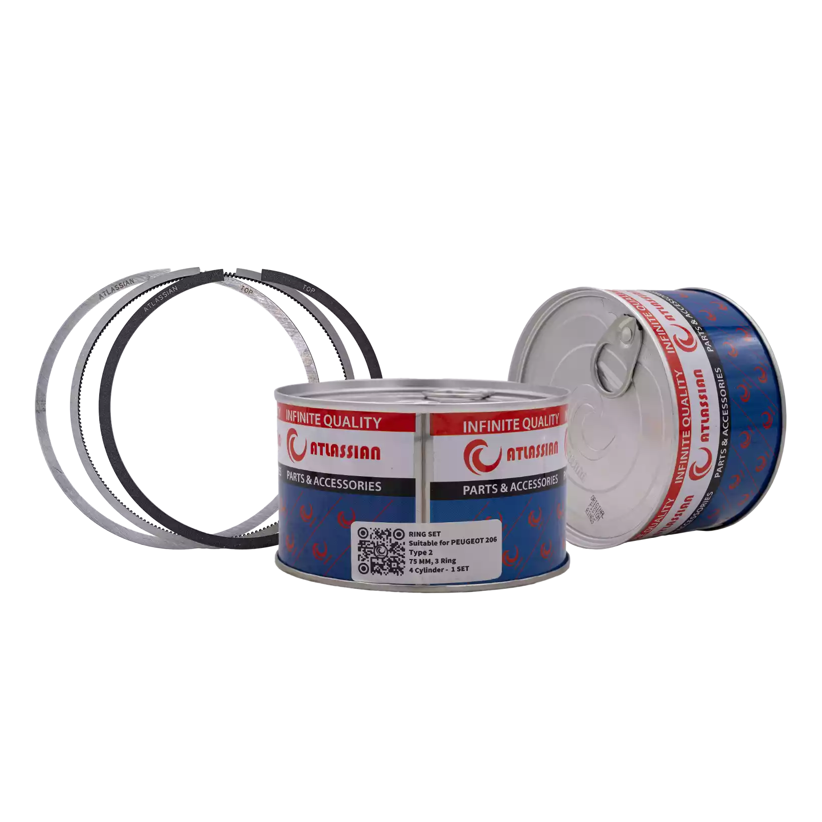 RING SET (Peugeot 206)
